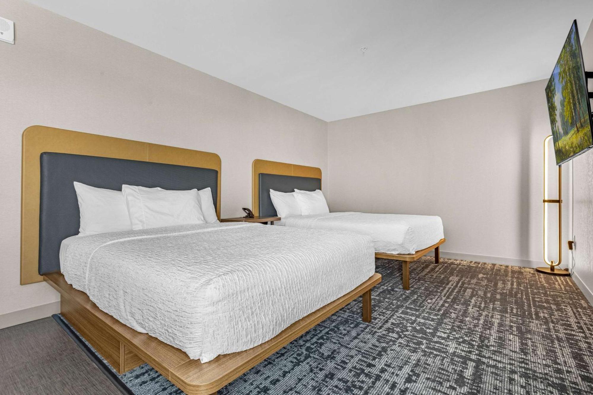 Homewood Suites By Hilton Colorado Springs Airport מראה חיצוני תמונה